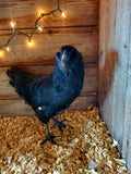 Fibro Ermine Olive/Easter Egger Hatching Eggs