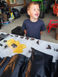 PREMIUM DRIED GRASSHOPPERS - TREATS
